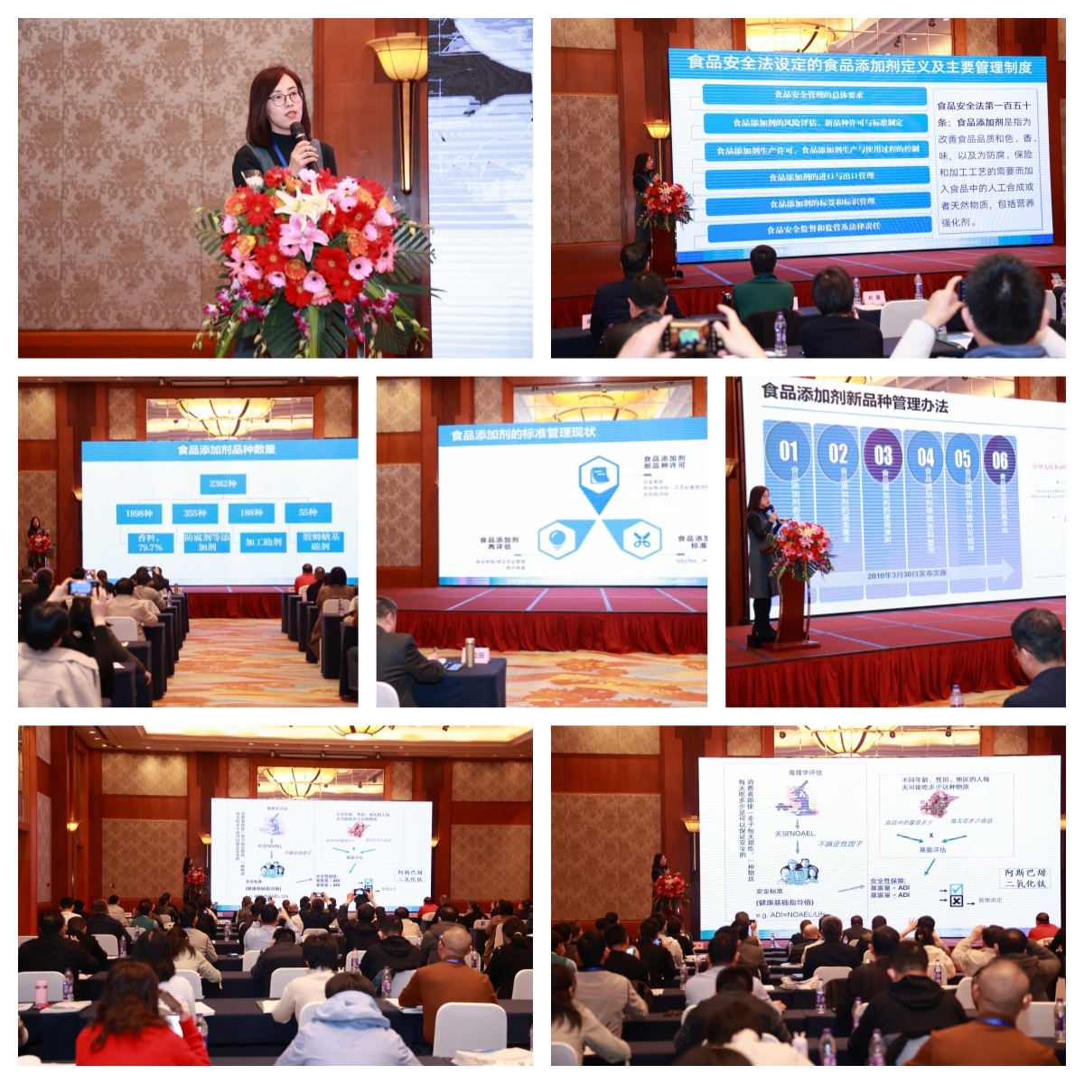 1705382318275561.jpg 華麗.jpg